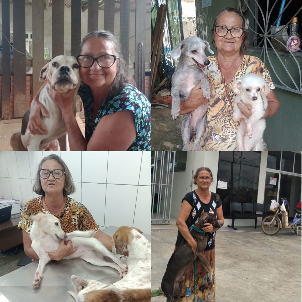 Maricilia é aposentada e se dedica a cuidar de animais abandonados — Foto: Arquivo Pessoal/ Maricilia