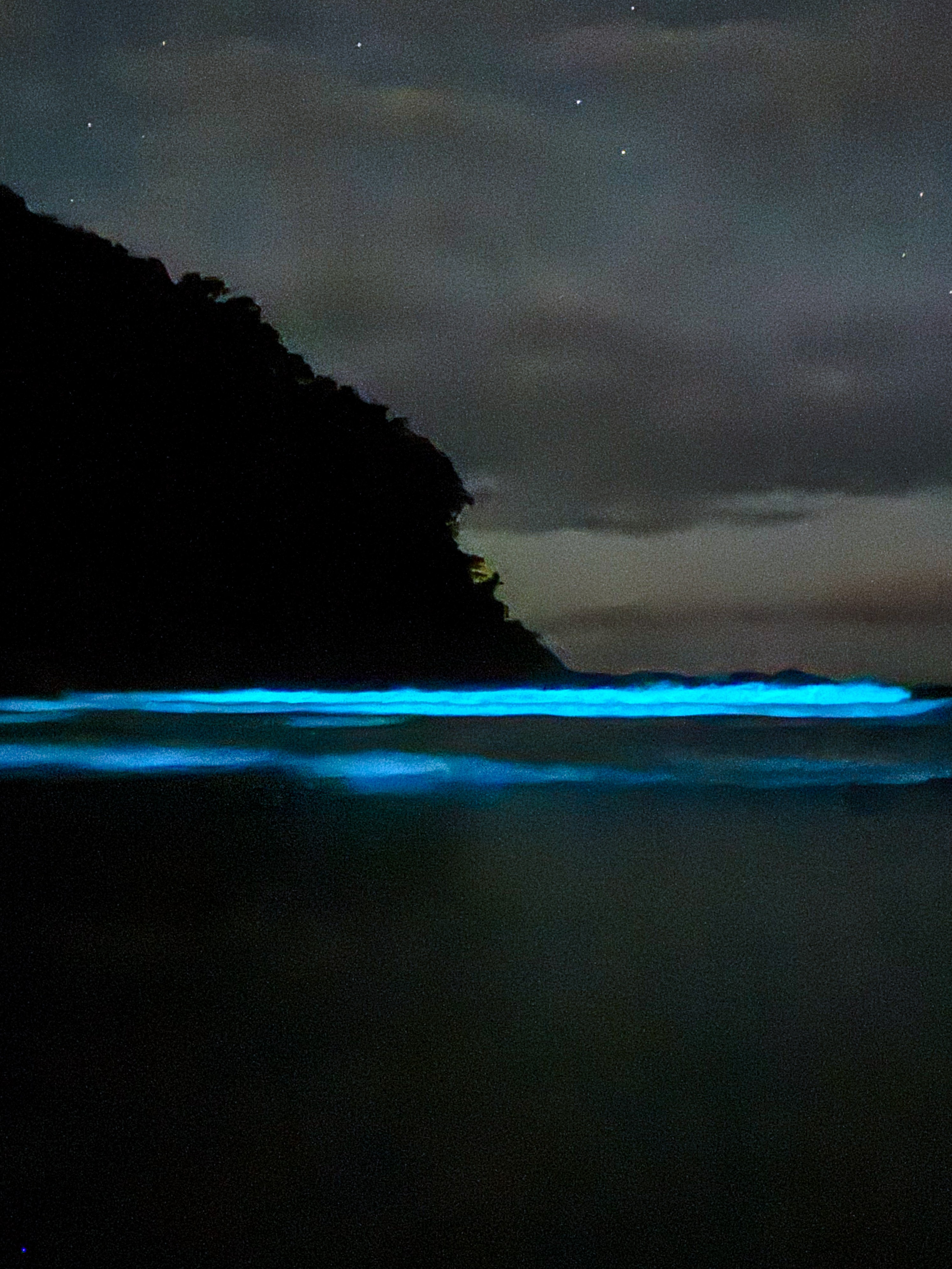 Mar azul? Fenômeno raro deixa ondas de praia, em Ubatuba, com brilho fluorescente