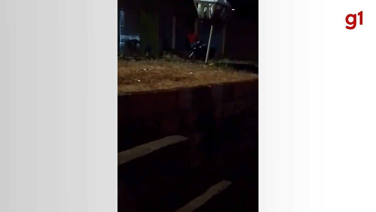 Vizinhos gravam jovem batendo em cachorro até a morte: ‘gritando de dor a cada paulada’, diz delegado