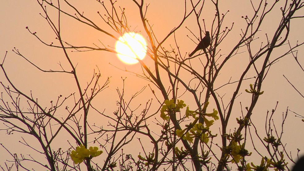 Sol com tons alaranjados no céu em Passo Fundo, em 10 de setembro — Foto: Reprodução/RBS TV