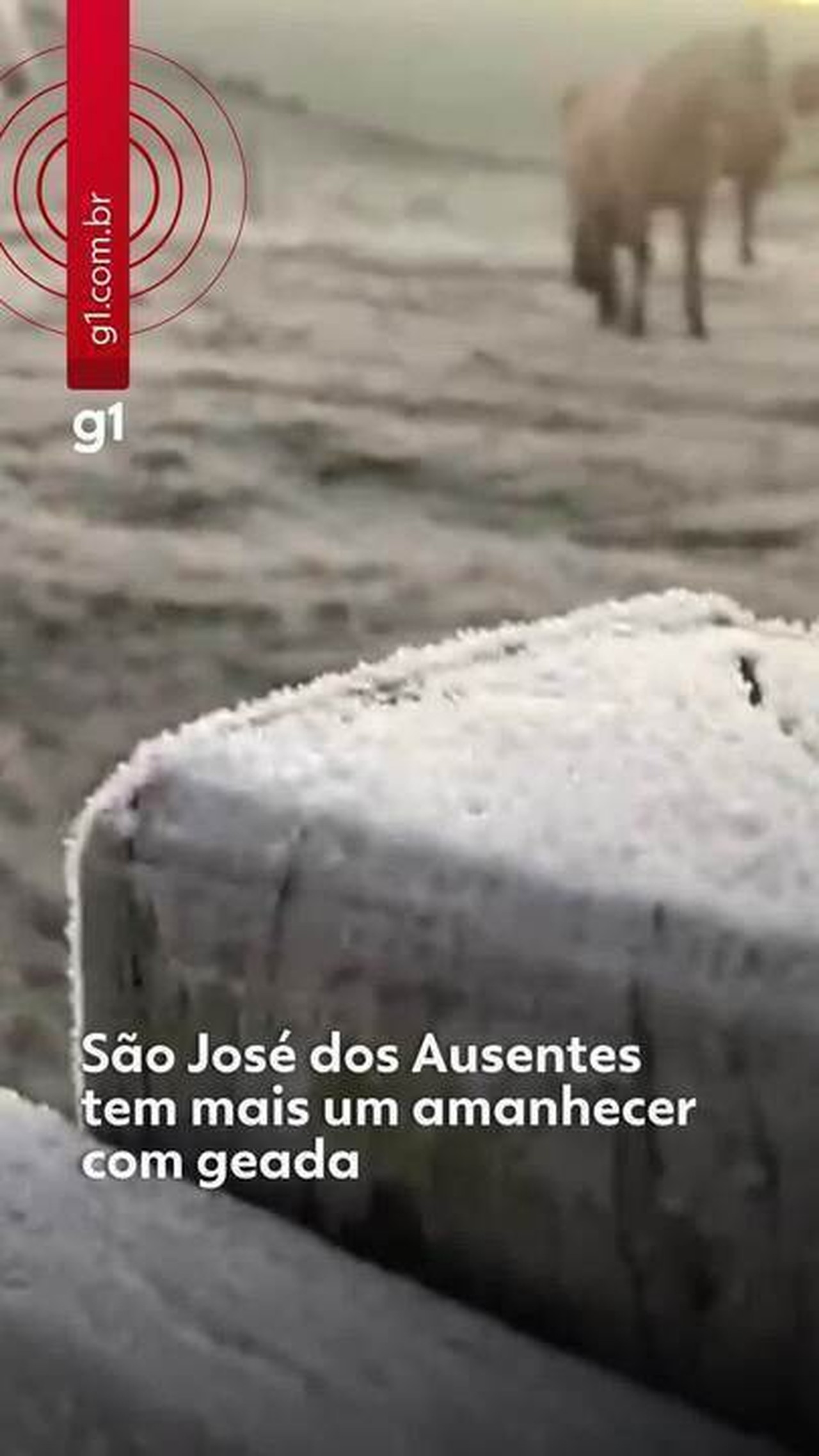 Onda de frio segue e estado tem 4º dia seguido de geada e temperatura negativa