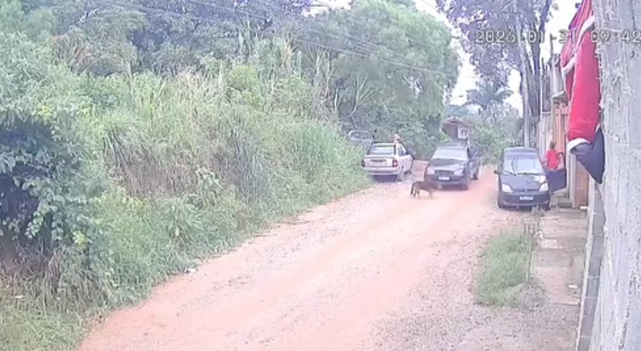 VÍDEO: motorista é preso após atropelar e causar morte de cachorro em Jundiaí