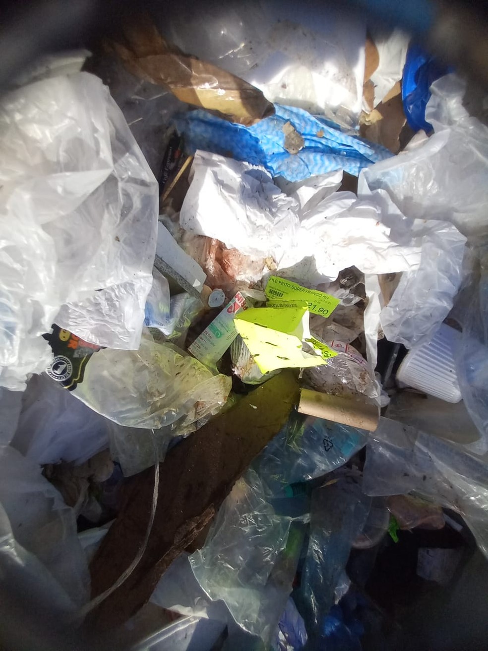 Descarte irregular de lixo na unidade de conservação Refúgio de Vida Silvestre Gatumé. — Foto: DF Legal/Divulgação