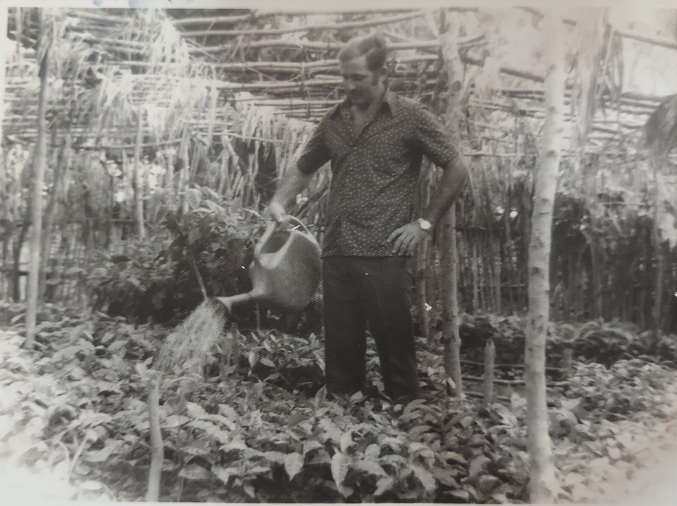 Pai de Gerlane Magalhães, no viveiro montado por ele na década de 1970. — Foto: Arquivo/Cedida