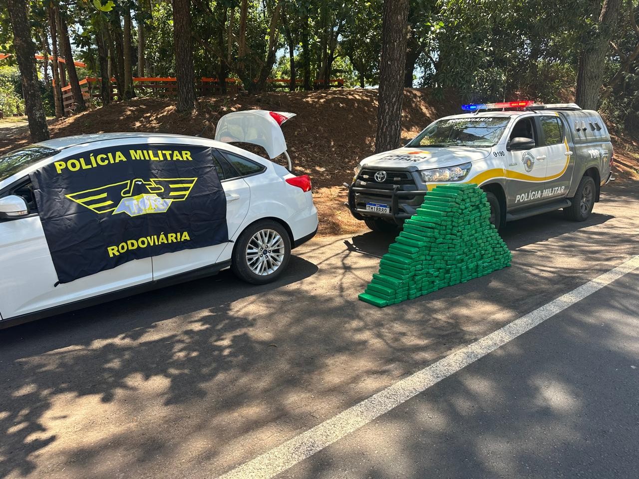 Motorista é preso suspeito de transportar mais de 260 kg de maconha em rodovia de Pirapozinho