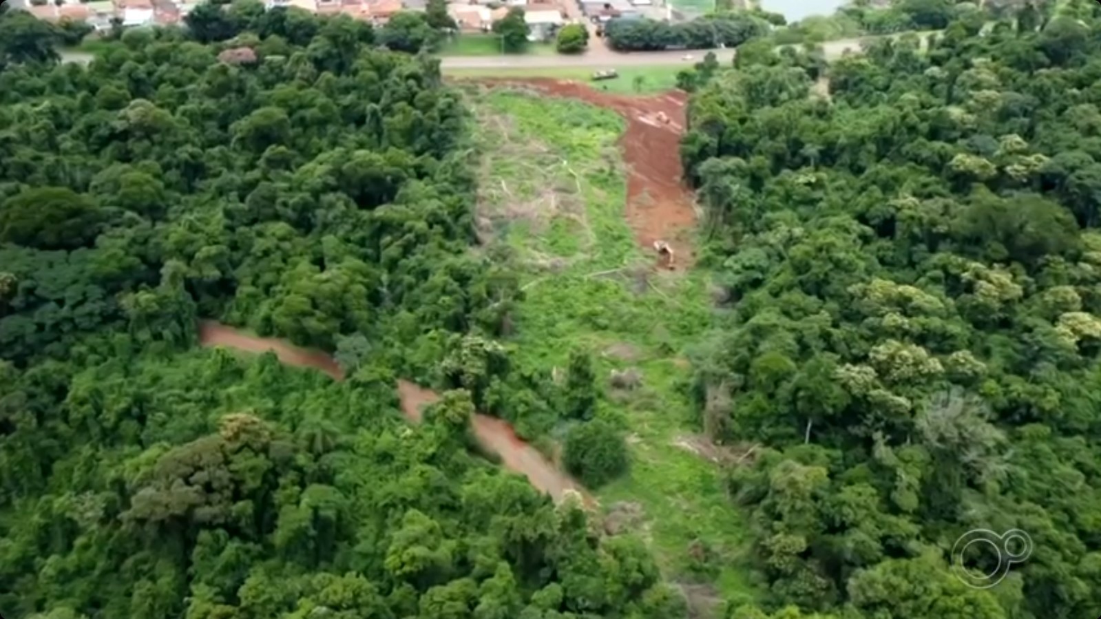 Dono de terreno que desmatou 18 mil metros quadrados em Taquarituba é multado em quase R$ 3 milhões 