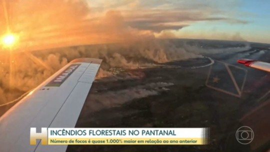 Número de incêndios no Pantanal cresce quase 1.000% - Programa: Jornal Hoje 