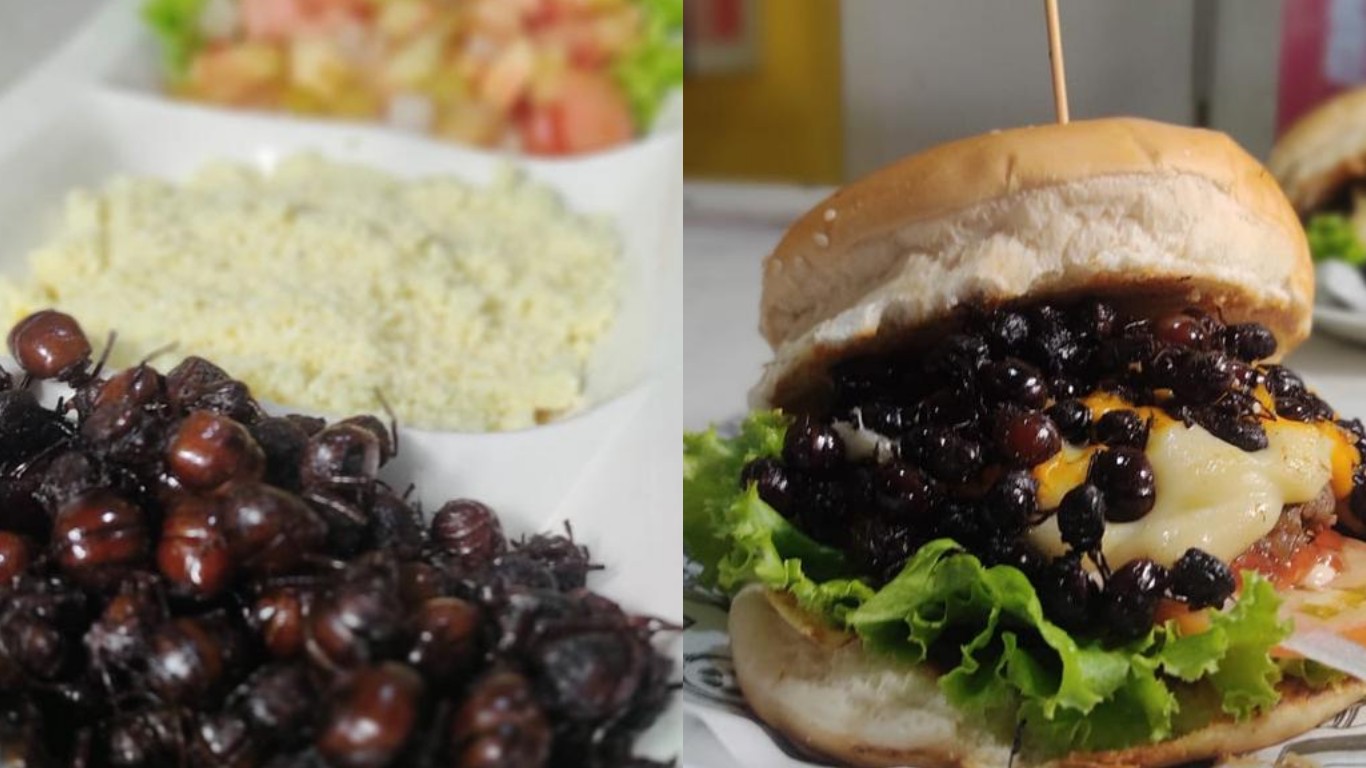 Tanajura chega a custar R$ 300 e vira hambúrguer, pizza e petisco no Agreste de Pernambuco