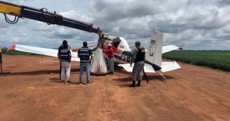 Operação destrói pistas, aeronaves e acampamentos usados por garimpeiros ilegais na Terra Yanomami