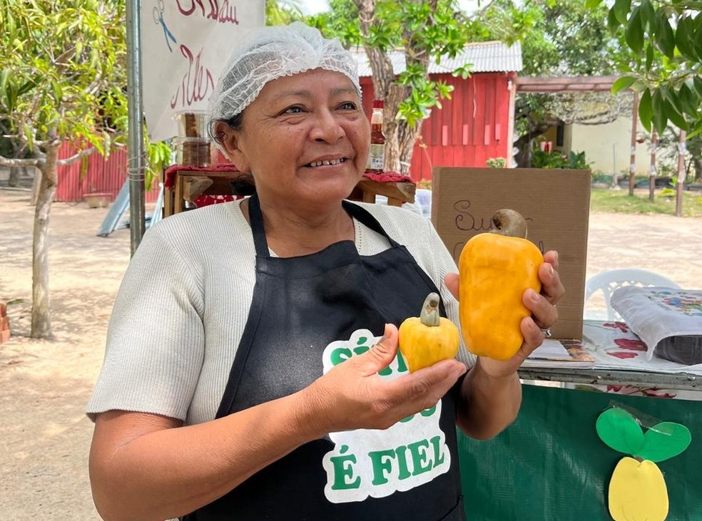 Agricultora Marivalda Nicolau exibe um caju de 10 cent&iacute;metros da produ&ccedil;&atilde;o dela &mdash; Foto: Kailane Souza/Rede Amaz&ocirc;nica