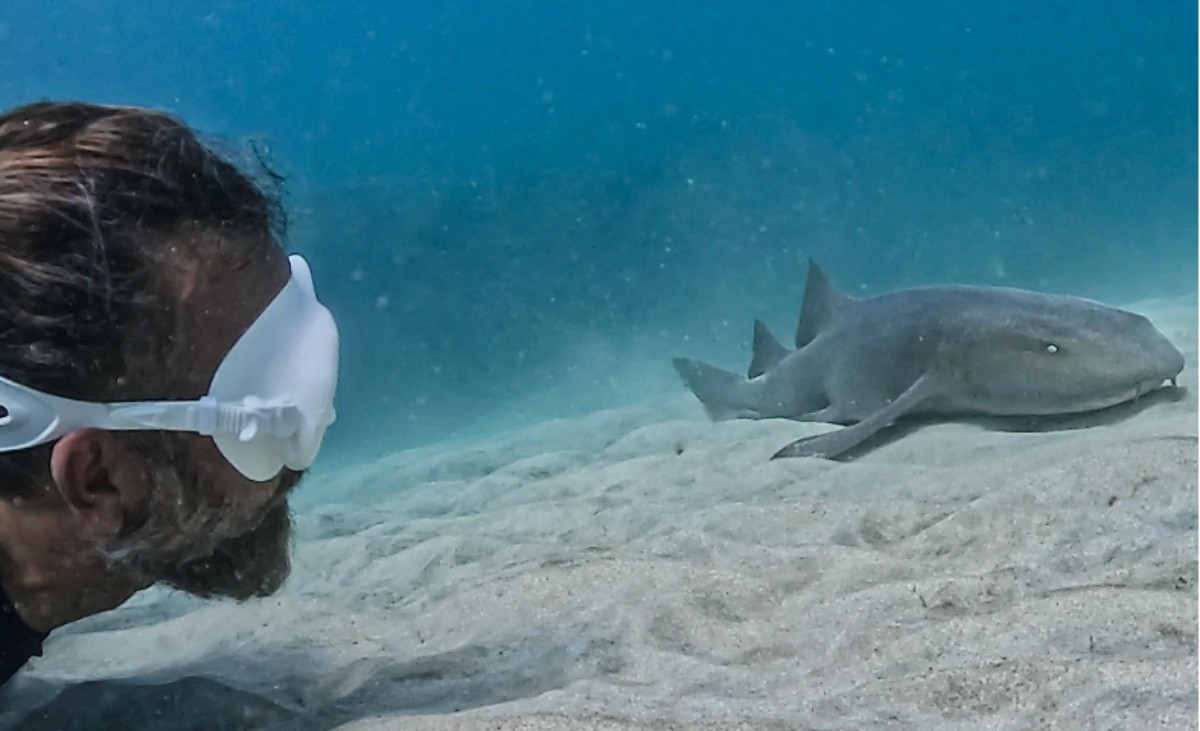 Pesquisas ambientais em Fernando de Noronha superam 10 mil registros de voluntários; VÍDEO