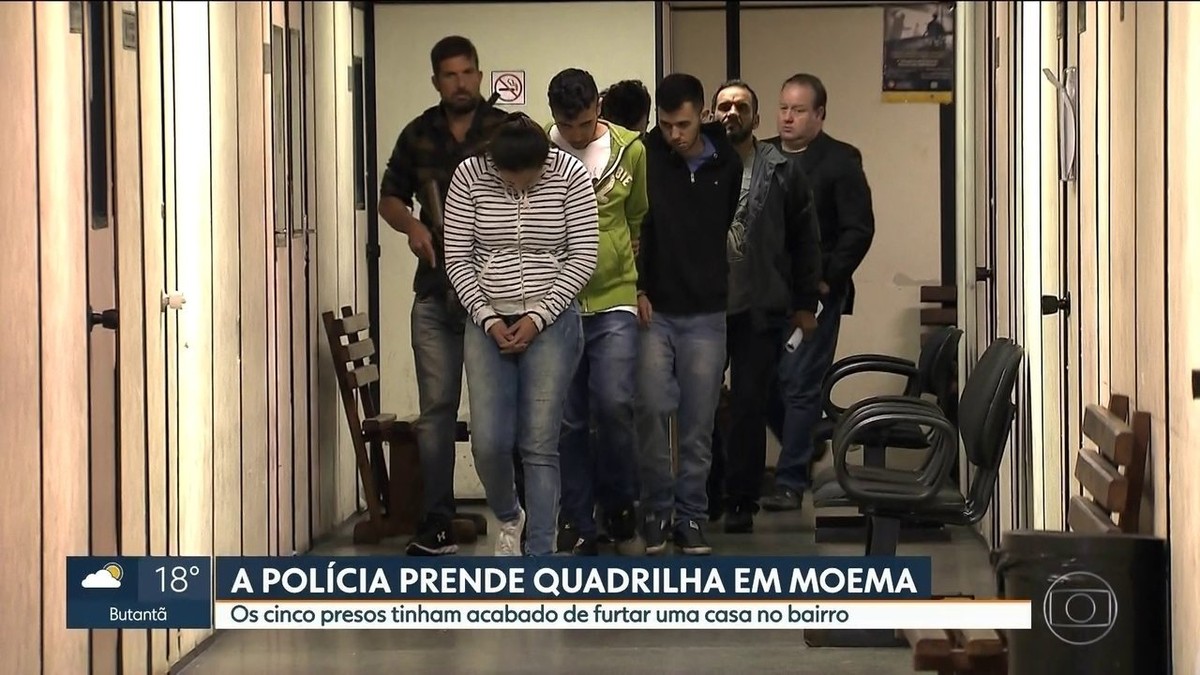 Polícia Prende Quadrilha Especializada Em Invadir E Furtar Imóveis Em Sp São Paulo G1 