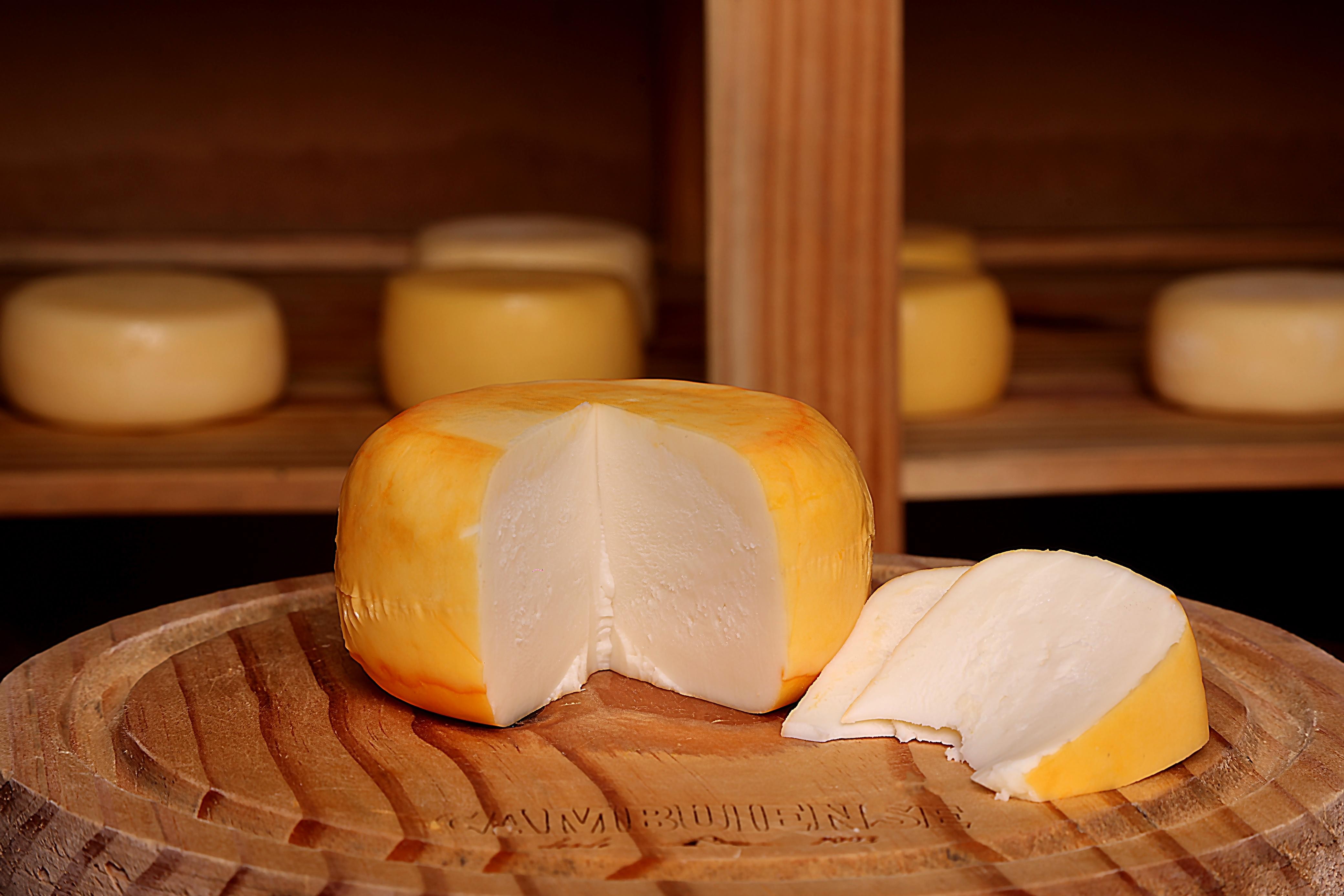 Rota do Queijo de Extrema celebra os sabores e a alma do Sul de Minas