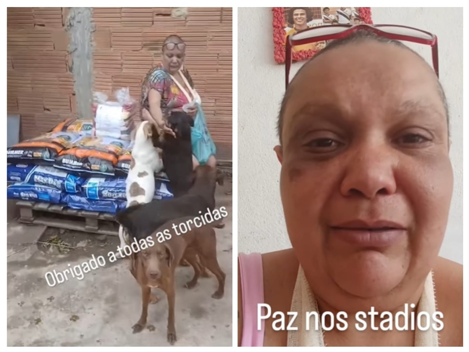 Com câncer, doceira e cuidadora de 78 cães relata agressão antes de Vasco x Flamengo e recebe doação até de rivais: 'Abrigo vai virar baile'