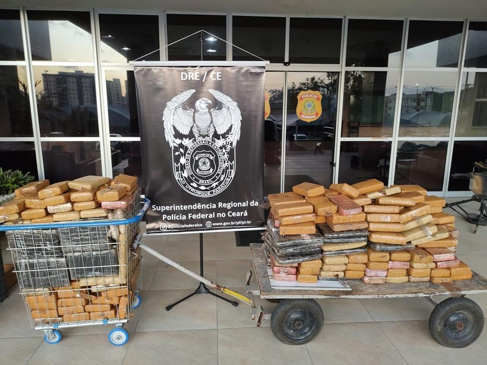 Polícia Federal apreende 326 quilos de skunk no Ceará. — Foto: Polícia Federal/ Divulgação