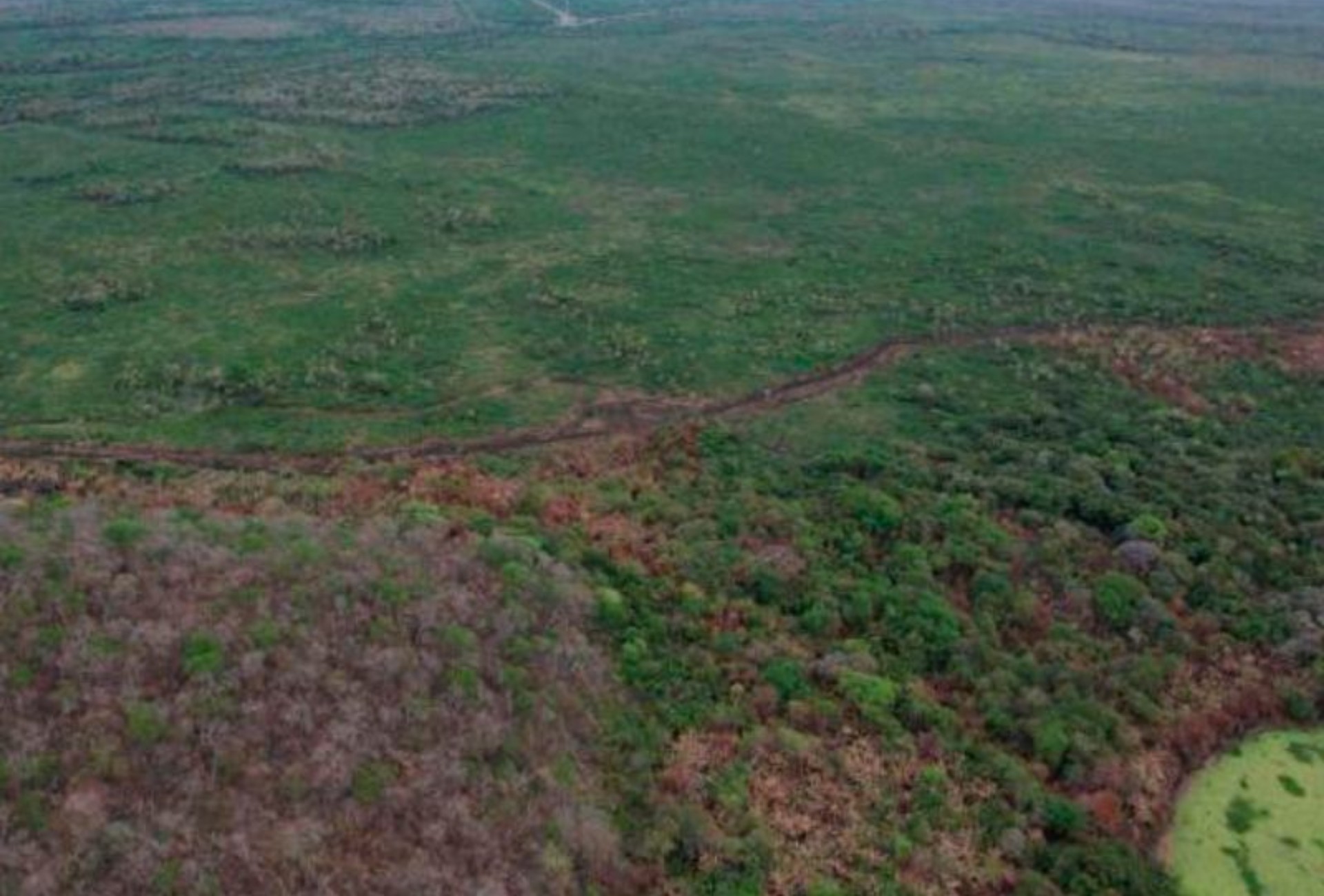 MP investiga incêndio que destruiu mais de 20 hectares de vegetação no Pantanal de MS