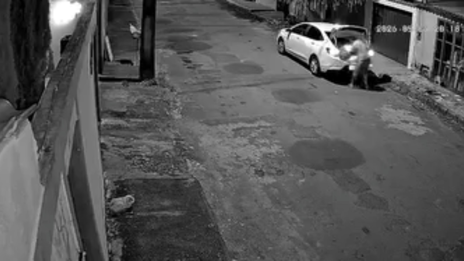 VÍDEO: Após arremessar cachorro de porta-malas de carro, homem é indiciado por maus-tratos em MG