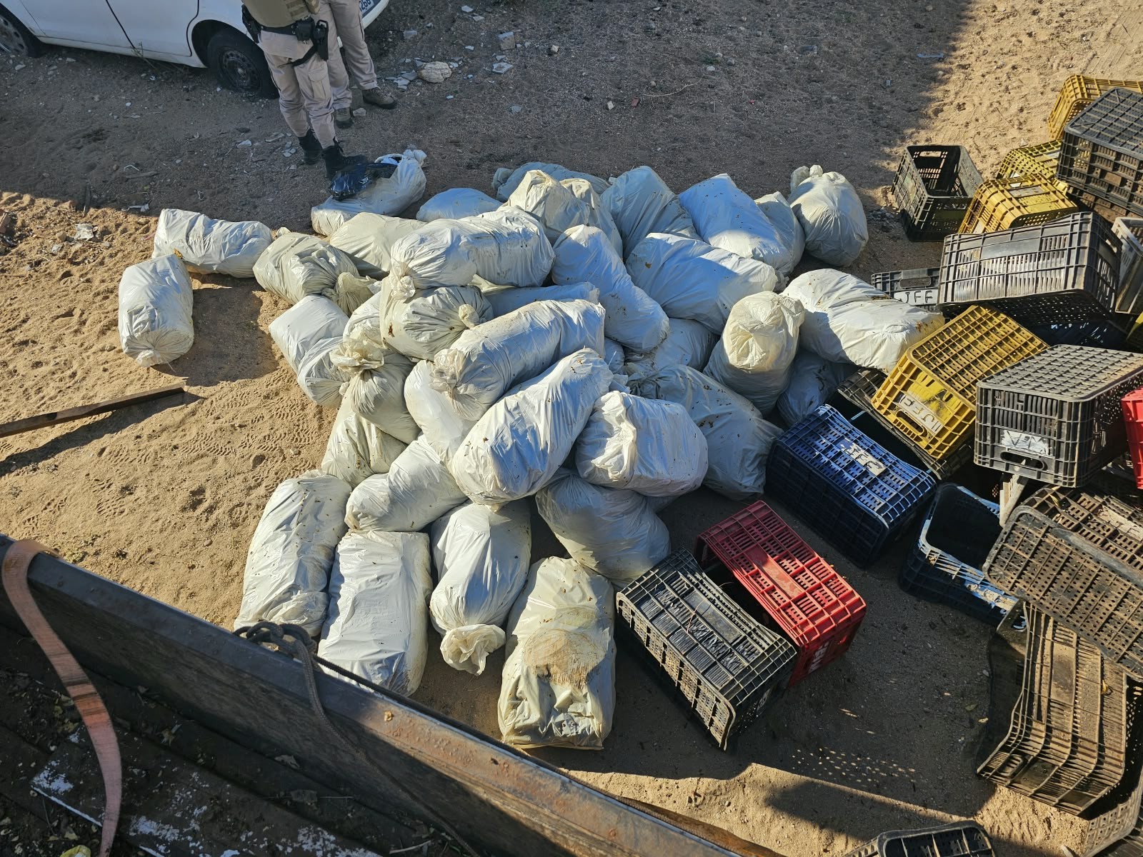 Mais de 320 kg de maconha encontrados escondidos em meio a engradados de verduras são apreendidos na Bahia