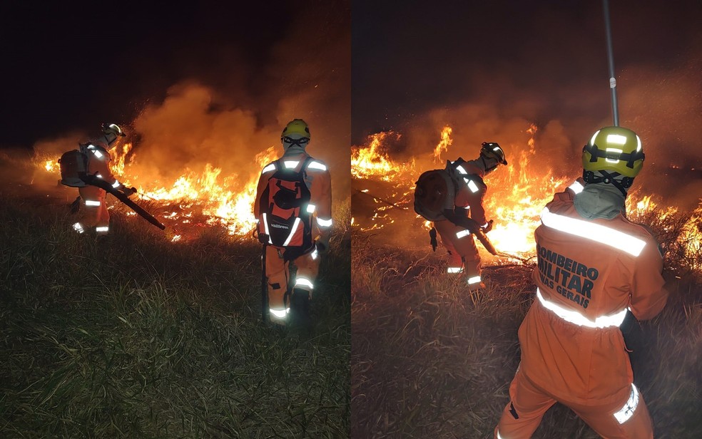 Incêndio queima cerca de 5,5 hectares de pastagem e plantação de eucaliptos em Alfenas, MG — Foto: Corpo de Bombeiros