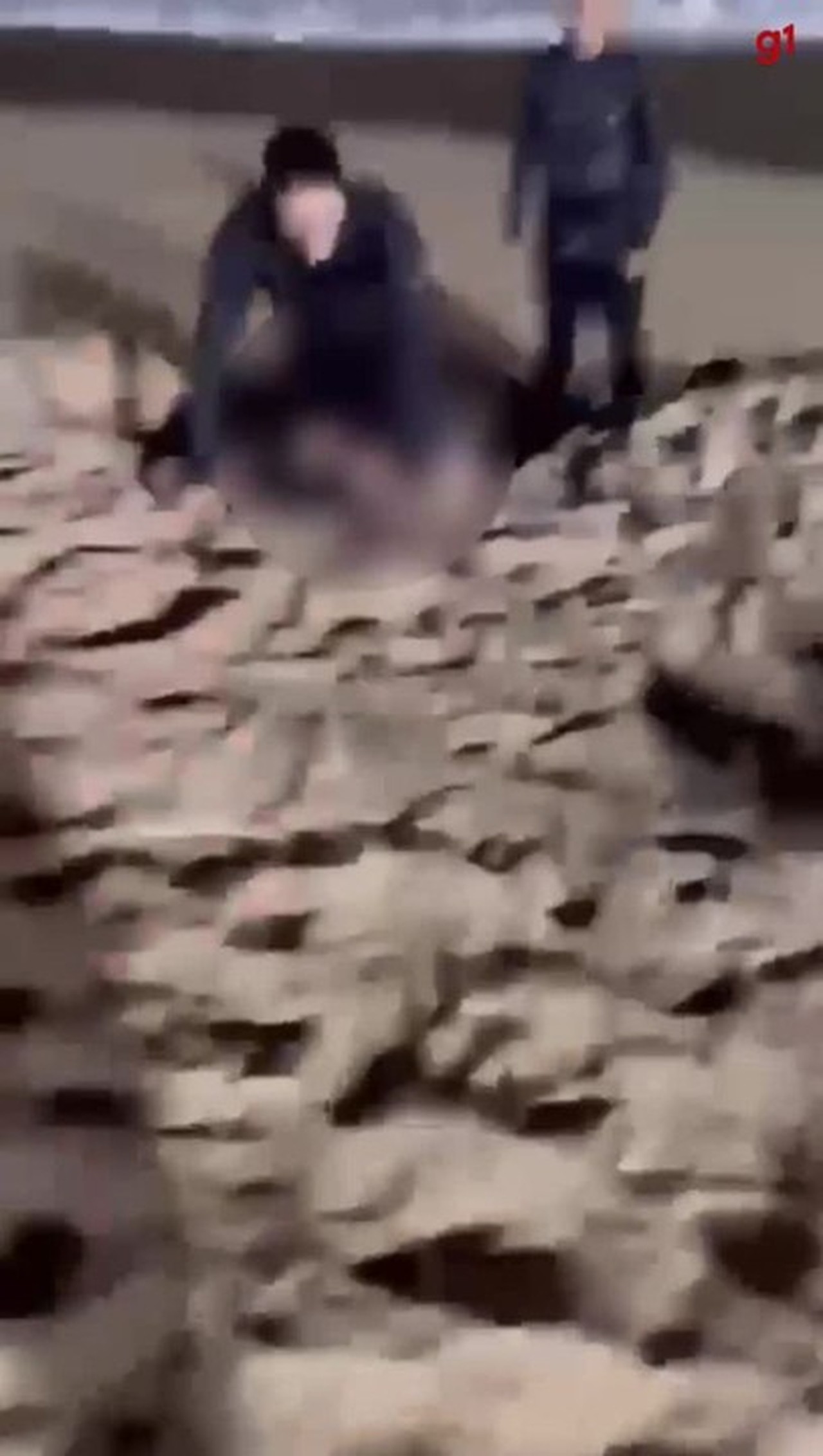 Mulher em surto é salva de afogamento pela polícia na praia de Jatiúca; VÍDEO