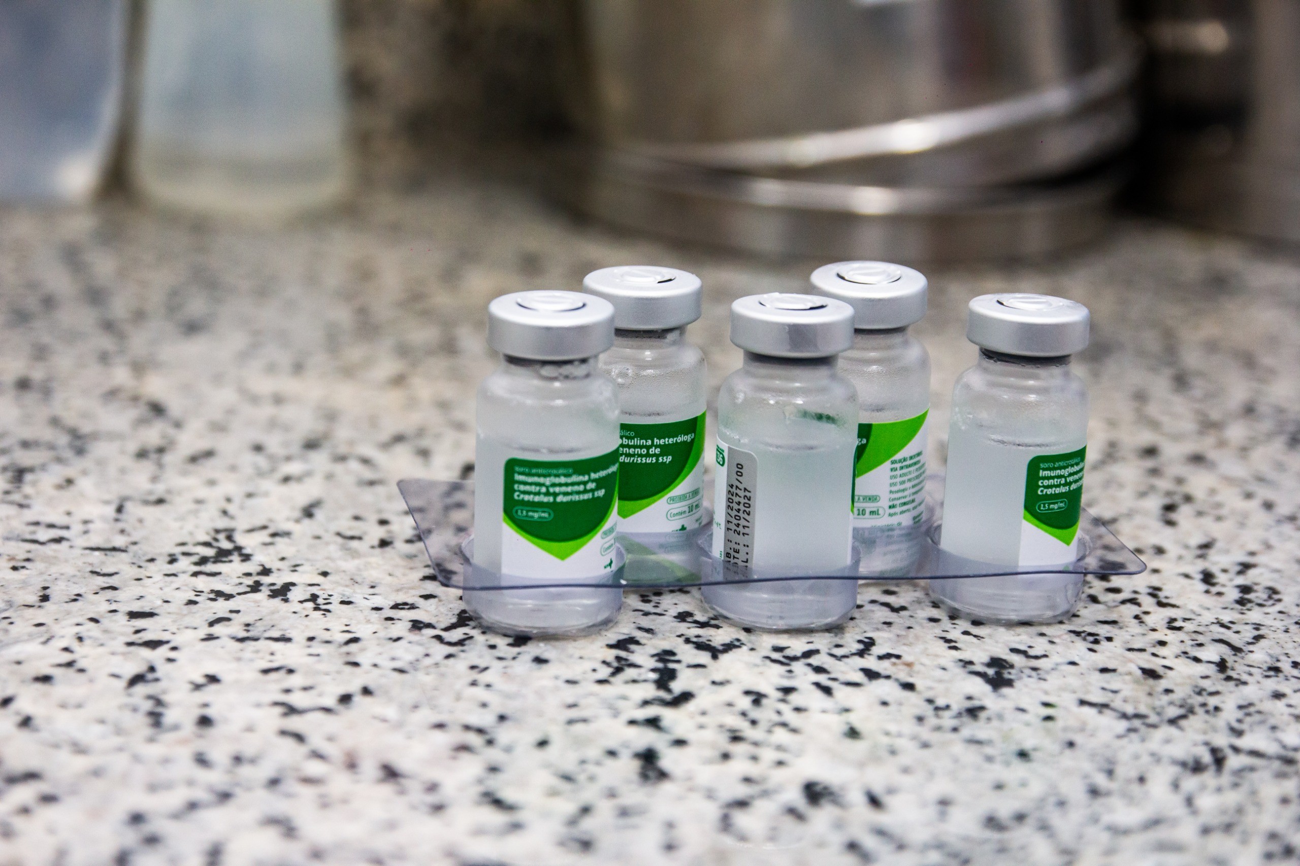 Homem é picado por cascavel em Barra do Piraí; cidade volta a ser polo de soro antiofídico