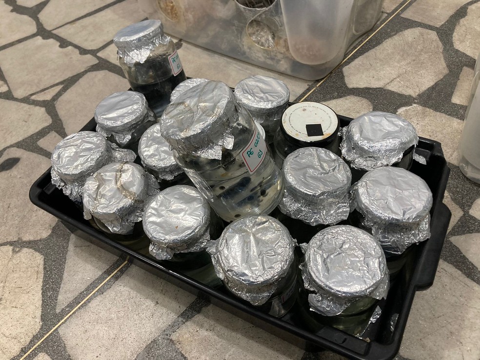 Materiais foram apreendidos durante operação no bairro Rincão, em Mossoró — Foto: Pedro Hugo/Inter TV Costa Branca