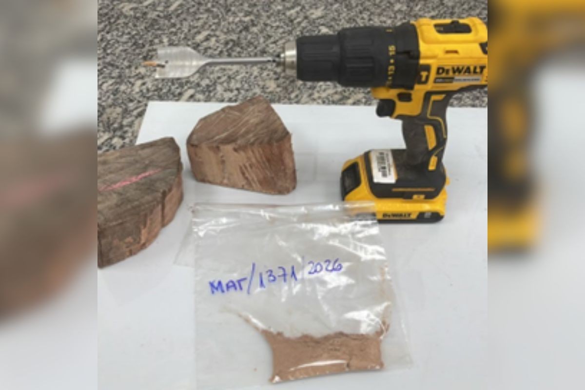 Laudo da PF confirma ausência de cocaína em carga de 260 toneladas de madeira apreendida