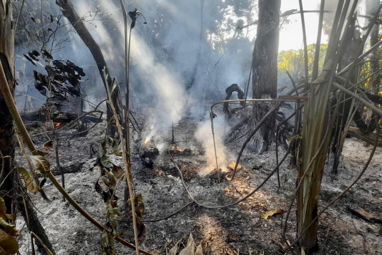 Pará decreta emergência ambiental e climática por 180 dias