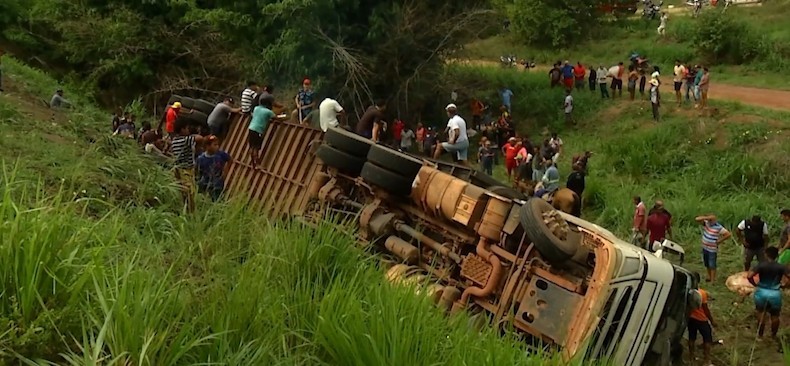 Motorista morre após caminhão carregado de bois capotar e cair de ribanceira na BR-010 no Pará