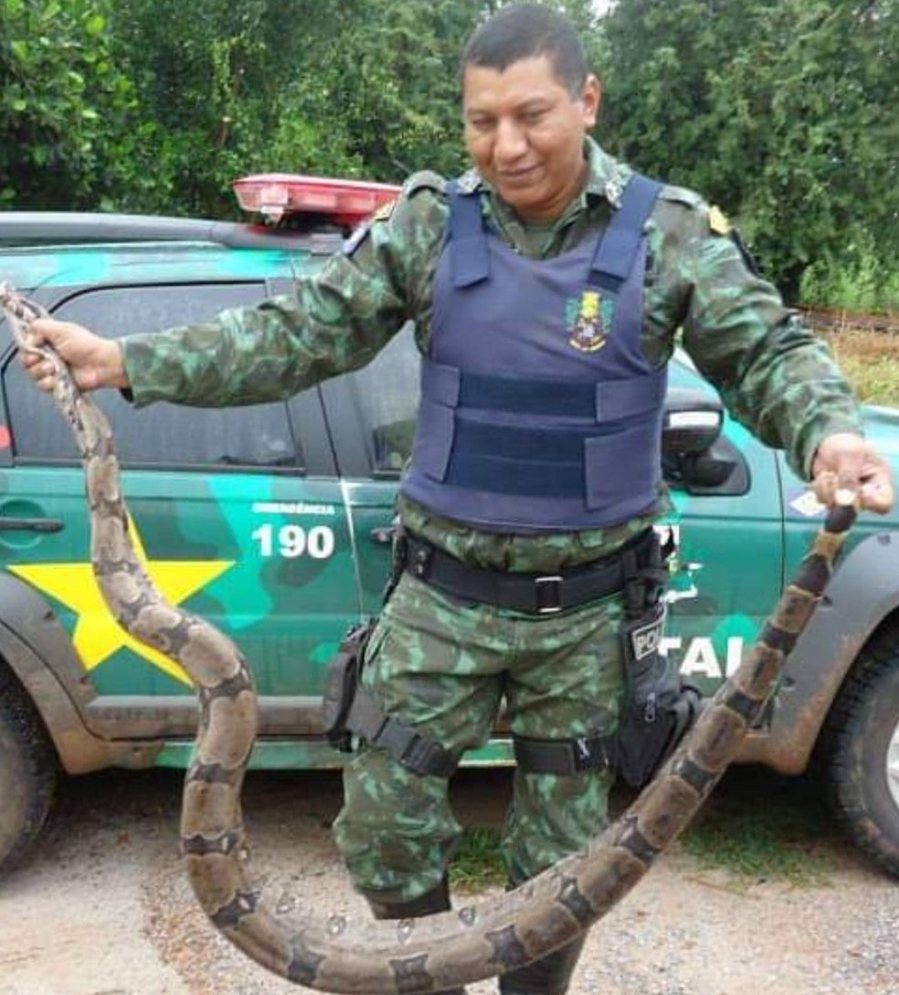 Sargento aposentado Abel Cebalho em operação de resgate de animal silvestre — Foto: Reprodução