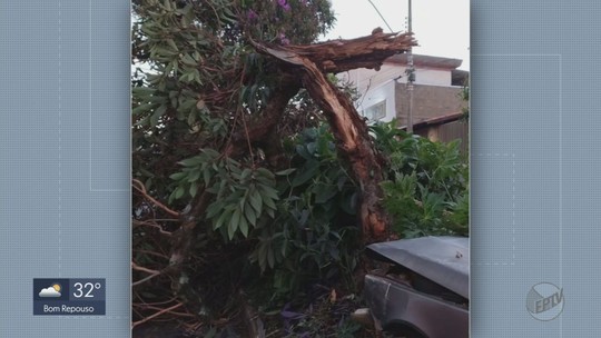 PEÃO DA CIDADE DE CONGONHAL É CAMPEÃO EM BARRETOS - Viva Sul de Minas