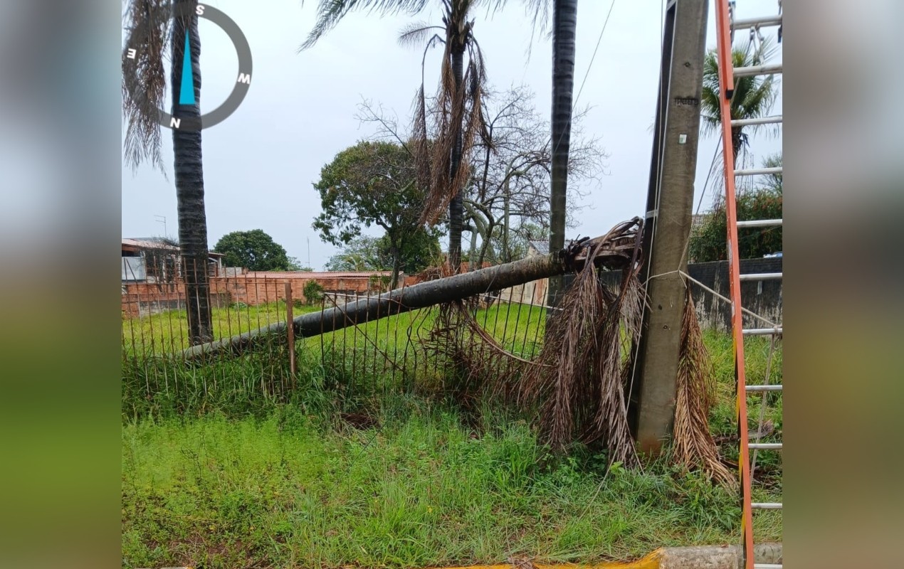 Árvore cai sobre caminhão durante chuva e causa congestionamento em rodovia de Tapiraí