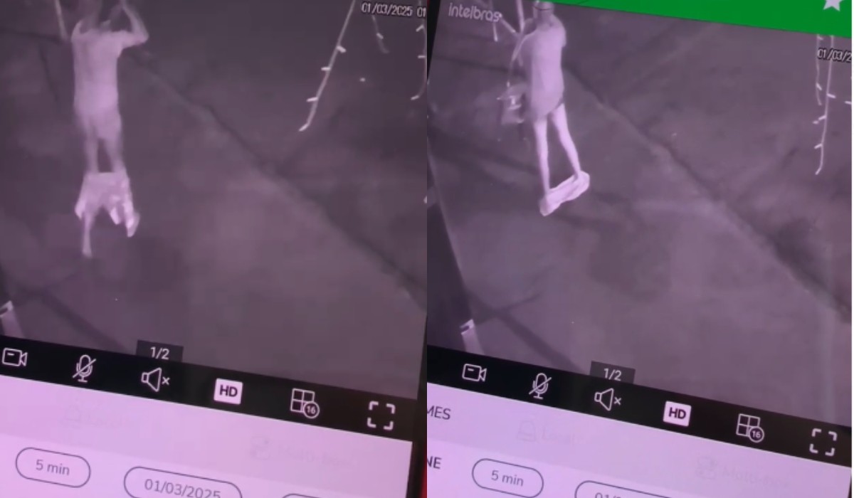 Você Não Tá Convidada pro Meu Bat Mitzvá!