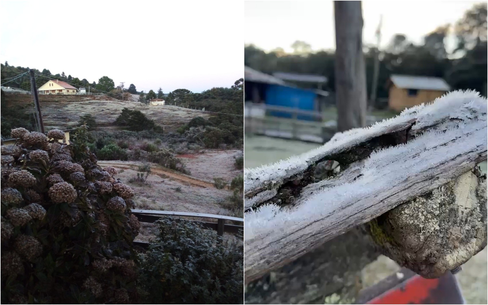 Delfim Moreira registra -4,6°C e amanhece coberta por gelo na Serra da Mantiqueira