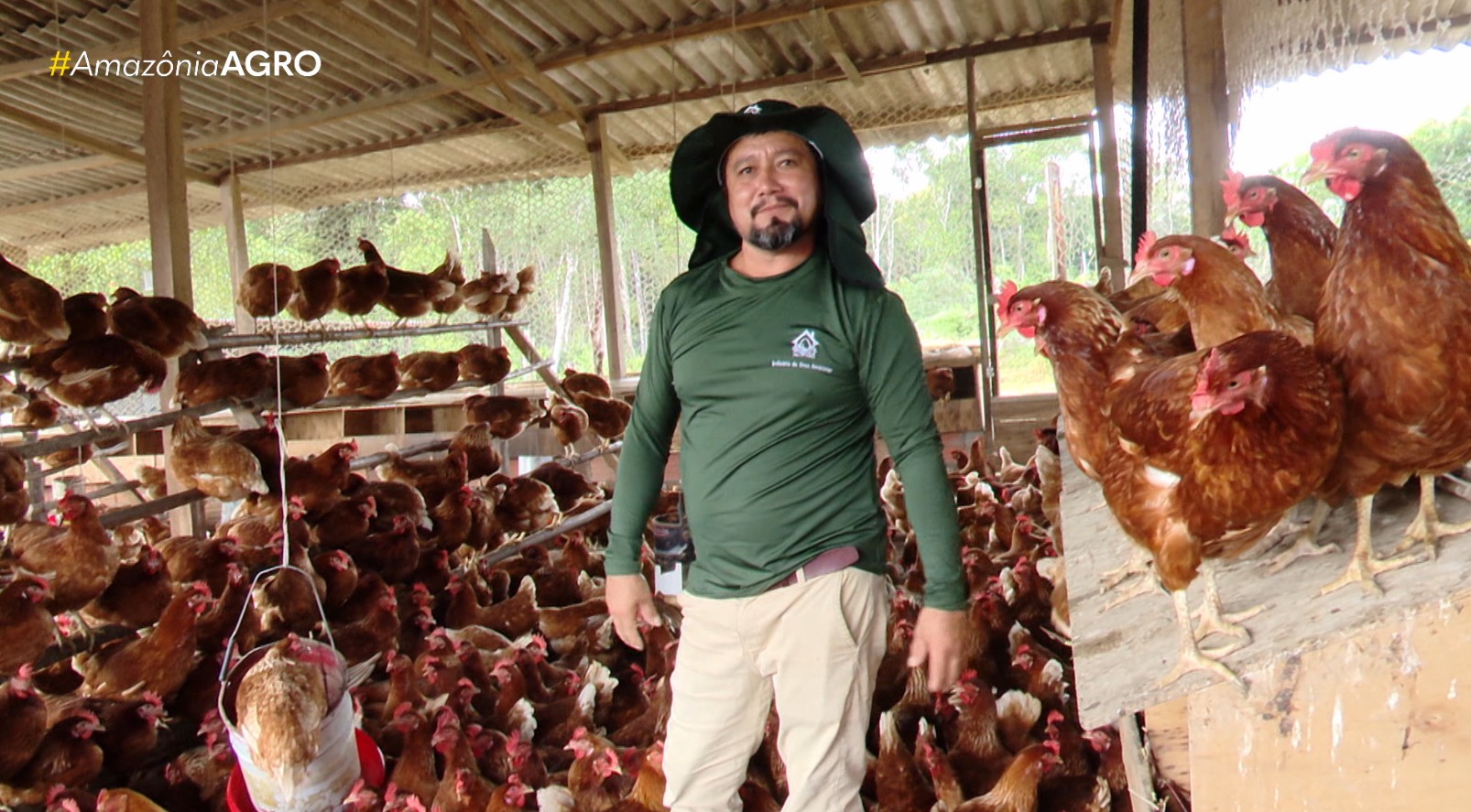 Agricultores do AM buscam legalização de granjas para ampliar produção e fortalecer biossegurança