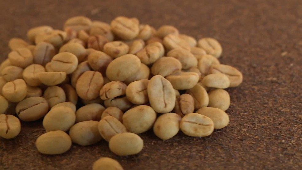 Grãos de café, Espírito Santo — Foto: Reprodução/TV Gazeta