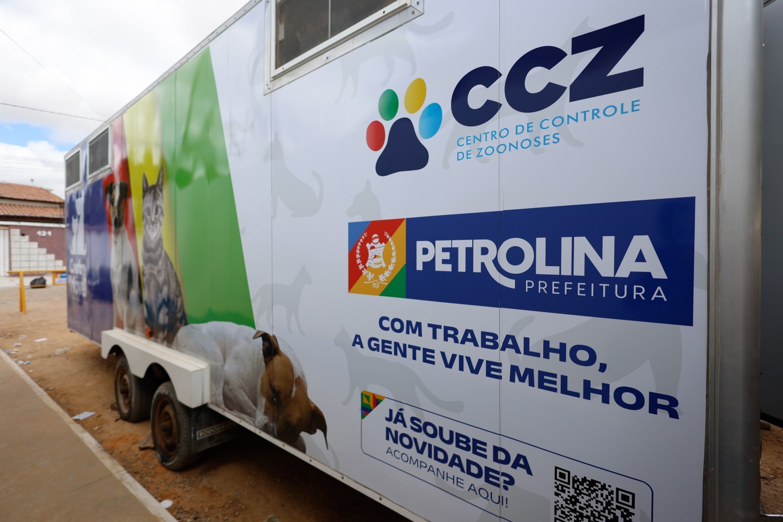 Mutirão oferece castração gratuita de cães e gatos no bairro Fernando Idalino em Petrolina 