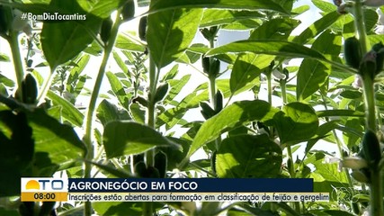 Porto Nacional oferece capacitação na área do agronegócio