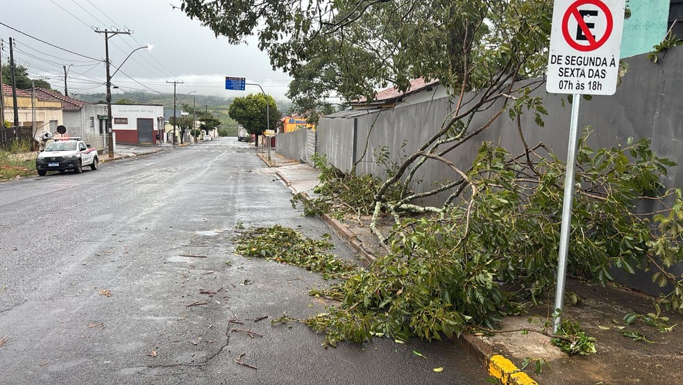 Prefeitura de Gália decretou estado de calamidade pública após as tempestades — Foto: Prefeitura de Gália