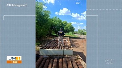 PRF apreende mais de 76 metros cúbicos de madeira nativa ameaçada de extinção no Tocantins