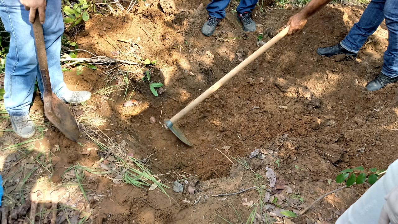 Homem acusado de matar ex-companheira e enterrar corpo em quintal vai a júri popular no Tocantins