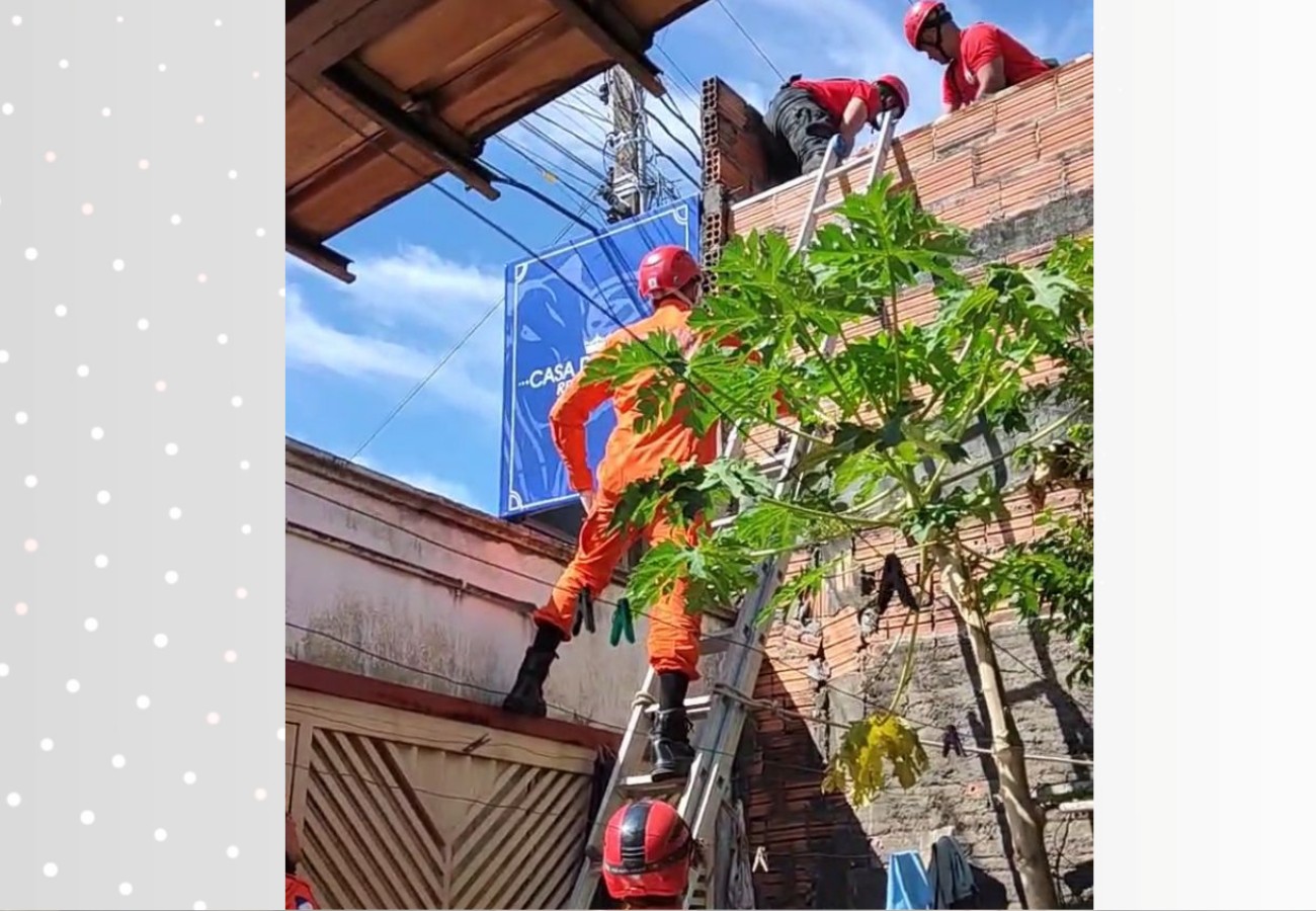 VÍDEO: Homem leva choque elétrico enquanto estava em telhado de açougue, dizem bombeiros