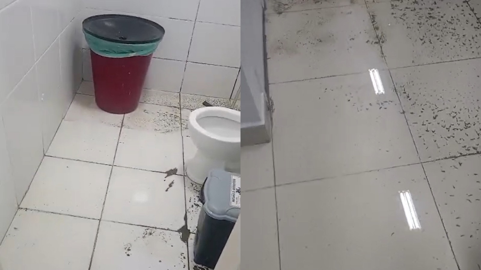 Hospital Infantil Albert Sabin alaga após chuva em Fortaleza; veja vídeo