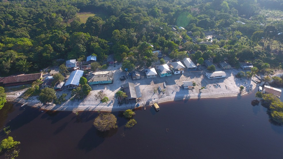 Manaus celebra Dia Mundial do Meio Ambiente com atividades gratuitas — Foto: FAS