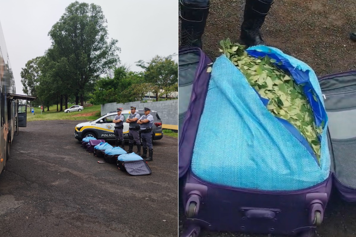 Boliviana é flagrada com 125 kg de folhas de coca em ônibus abordado em rodovia no interior de SP