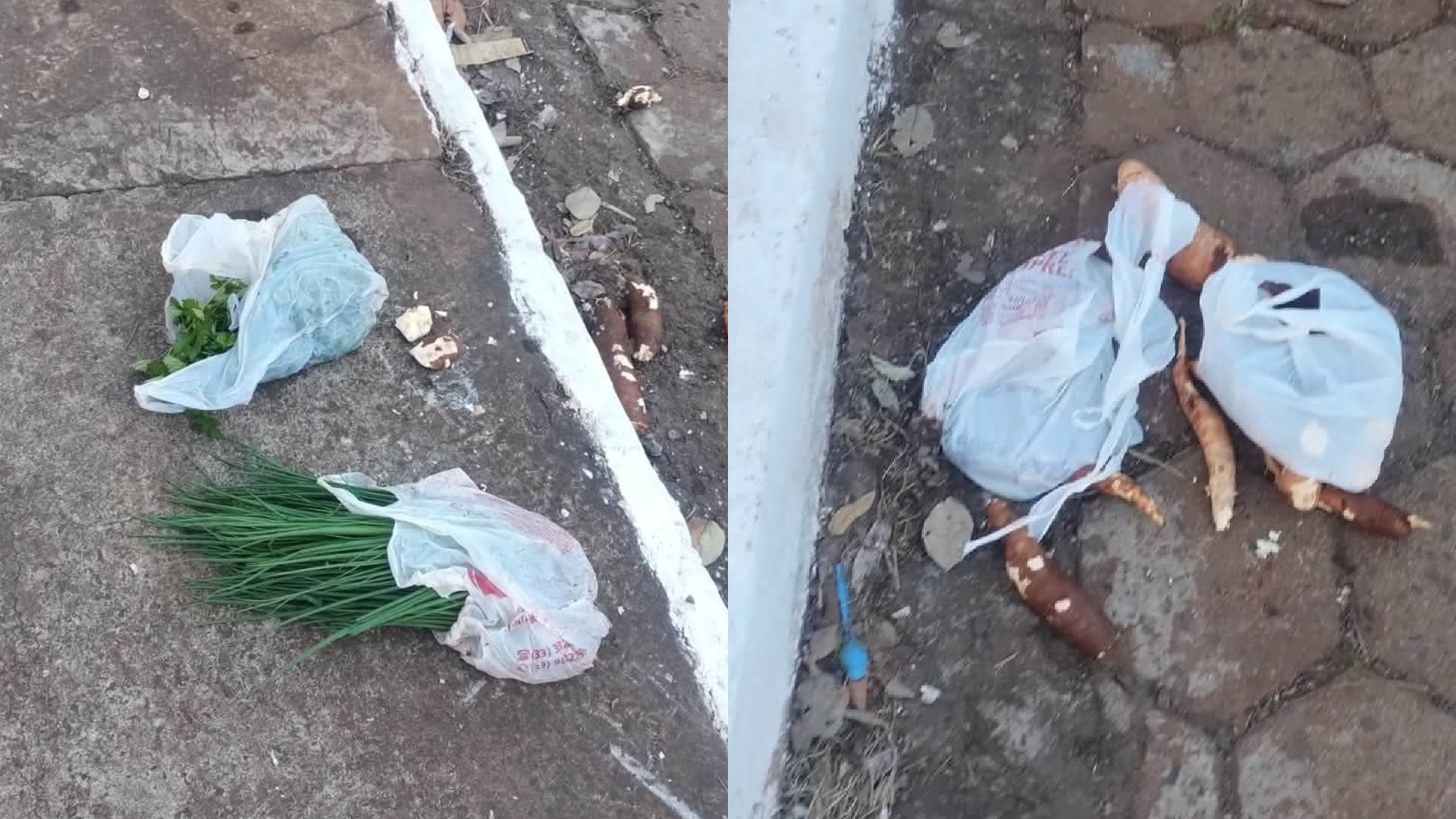 Casal flagra furto em horta de casa, entra em luta com suspeitos e os detém até a chegada da polícia