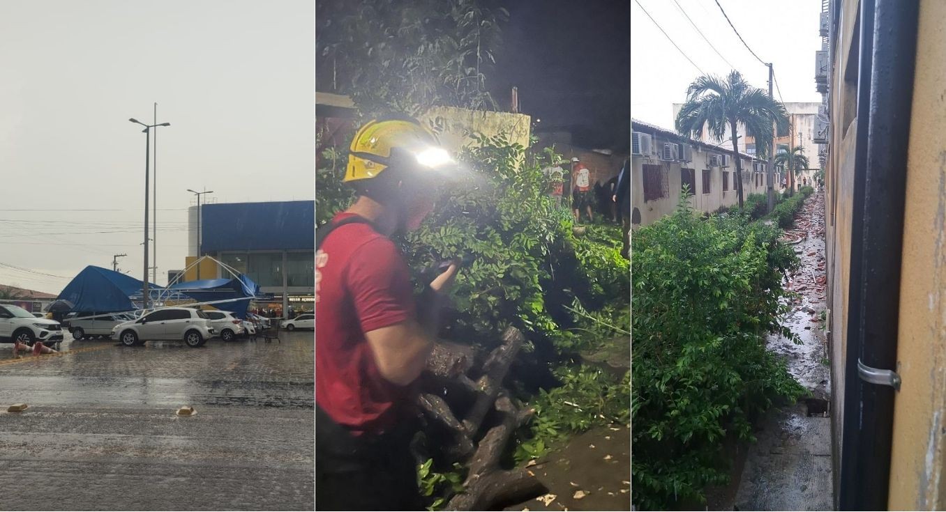 Chuva com ventos fortes derruba árvores, destelha prédios e causa danos em Pau dos Ferros, no Alto Oeste