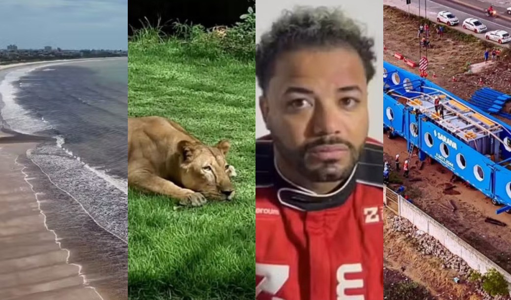 Ataque de leoa, prisão de Hytalo Santos e transformador gigante: relembre as notícias que marcaram a Paraíba em 2025