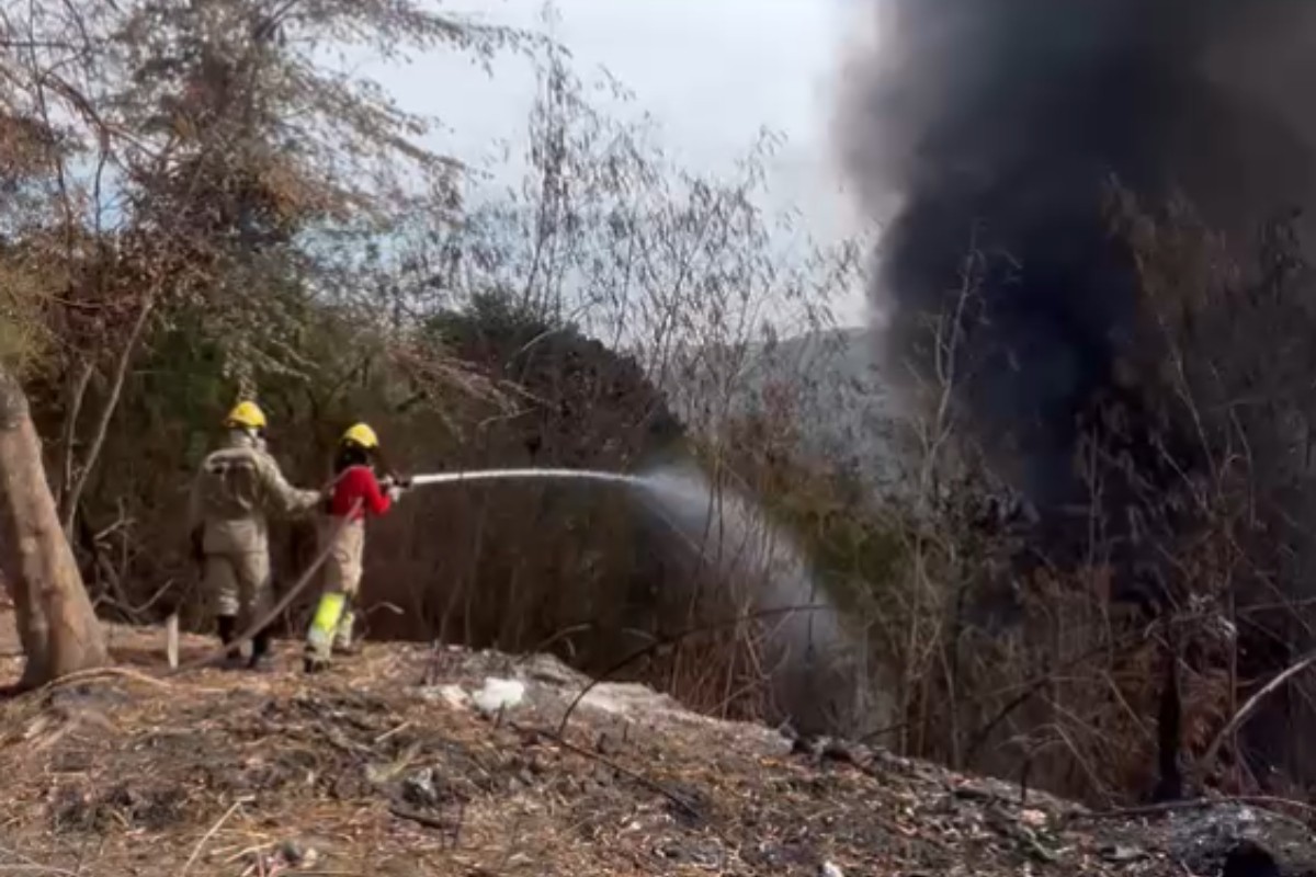 Incêndio destrói vegetação na Zona Leste de Manaus