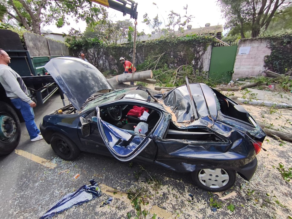 Carro foi atingido por árvore na Rua Frederico René de Jaegher, região de Cidade Dutra, na Zona Sul de SP — Foto: Arquivo Pessoal/Douglas Cardozo